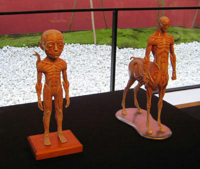 IMG_3294.jpg