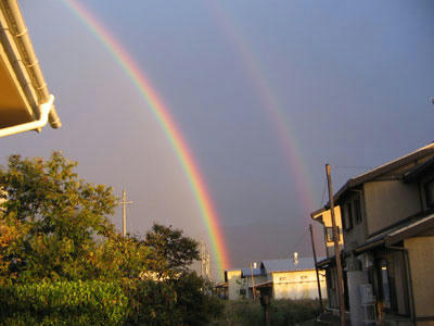 IMG_3324.jpg