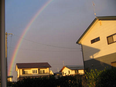 IMG_3325.jpg