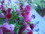 IMG_0482.JPG