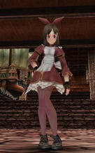 ウェイトレスセット