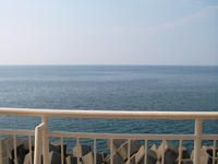 SANY0133.jpg
