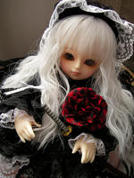SANY0011.JPG