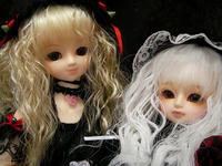 SANY0277.JPG
