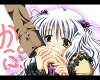 siou-k1.jpg