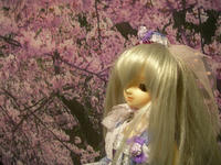 SANY0111.JPG
