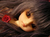 SANY0109.JPG