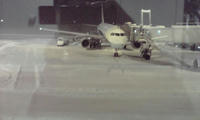 P1000004.JPG