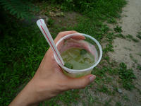 P1010705.JPG