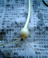 P1020051.JPG