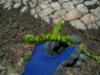 P1020364.JPG