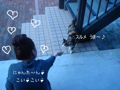 DSC03033.jpg