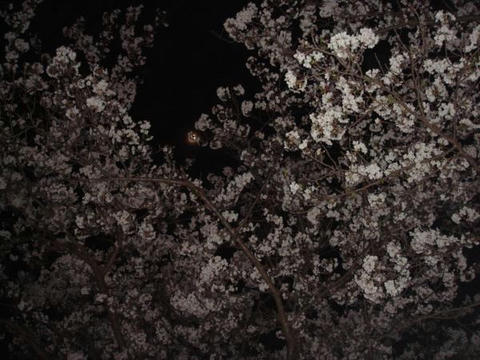 DSC03108.jpg