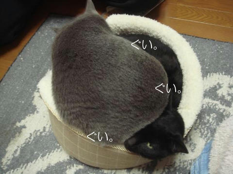 DSC05405.jpg