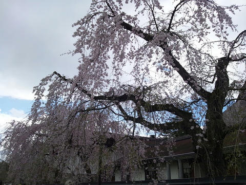 DSC_0268.JPG