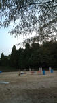 馬場　障害