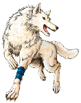 シロ