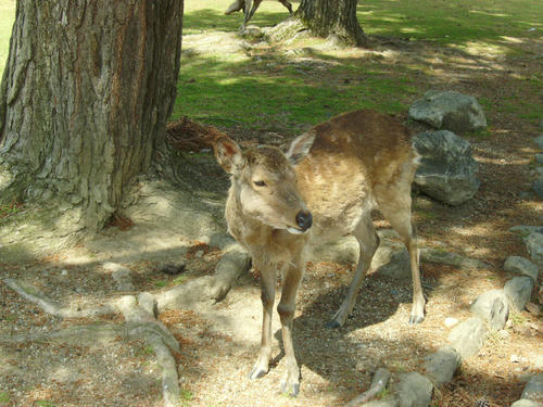 IMGP0023.JPG