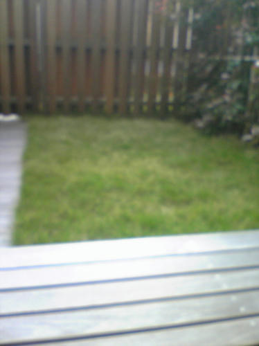 7031297a.jpg