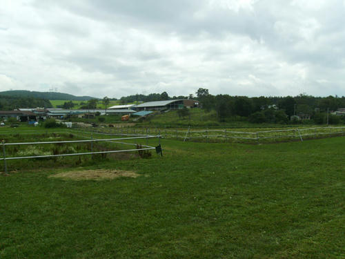 2de0943f.JPG