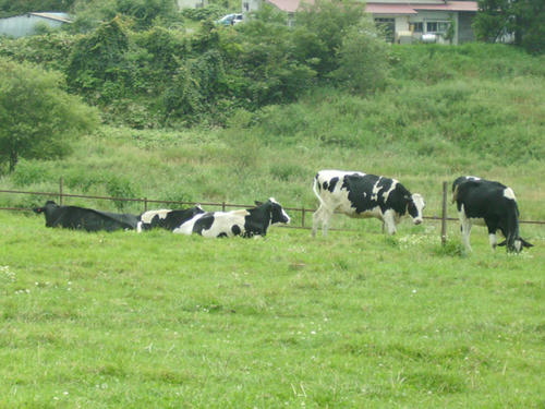 IMGP0088.JPG