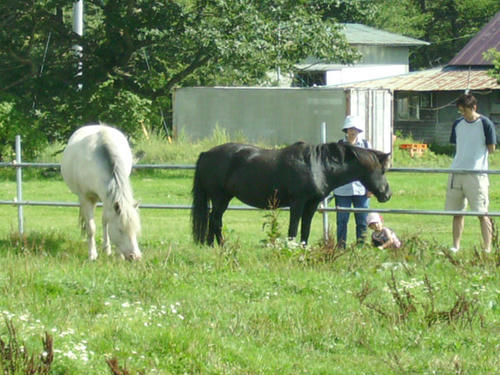 IMGP0089.JPG