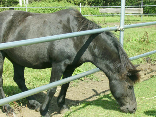 IMGP0091.JPG