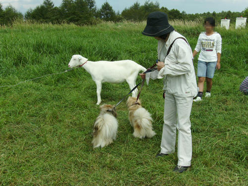 IMGP0076.JPG