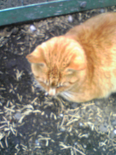 100216_085930.jpg