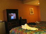 043004.jpg