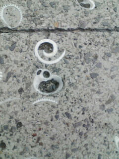 DCSA0562.jpg