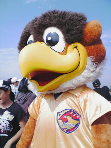 2011-10-10_09-39.jpg