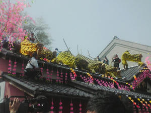 DCSA0001.jpg