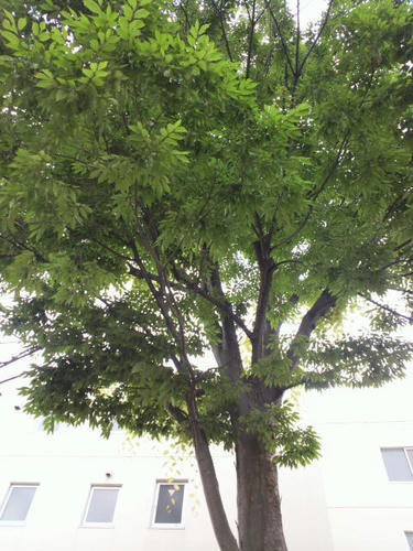 DCIM0019.JPG