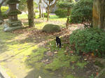 DSC05112.JPG