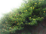 DSC05076.JPG