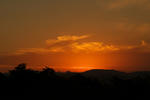 d0053930_6564611.jpg