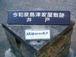 23861616.jpg