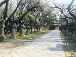 83f9bd34.jpg