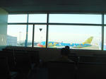 6e023051.jpg