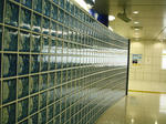160d7705.jpg