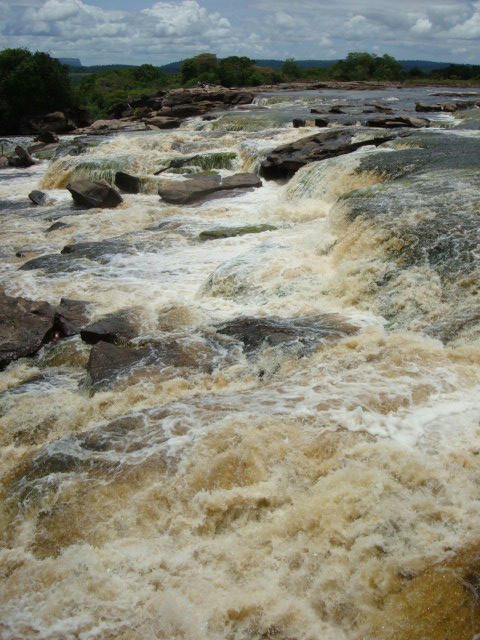 DSC09986.JPG