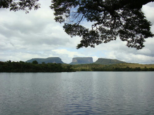 DSC00001.JPG