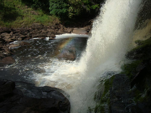 DSC00007.JPG