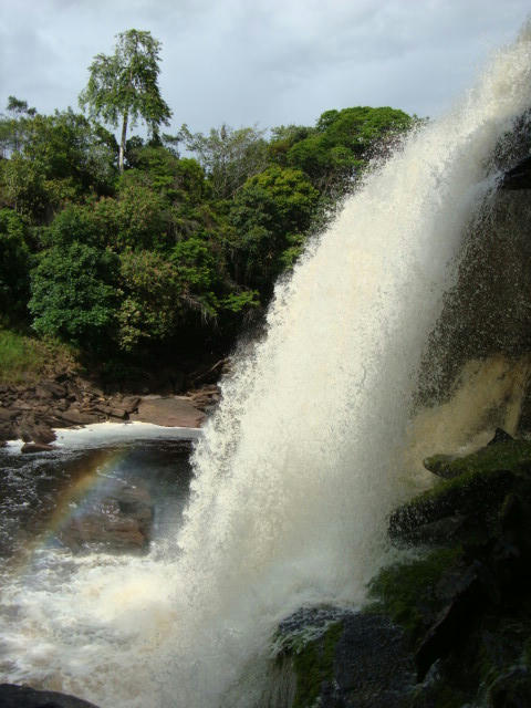 DSC00008.JPG
