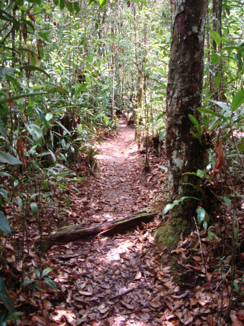 DSC00081.JPG