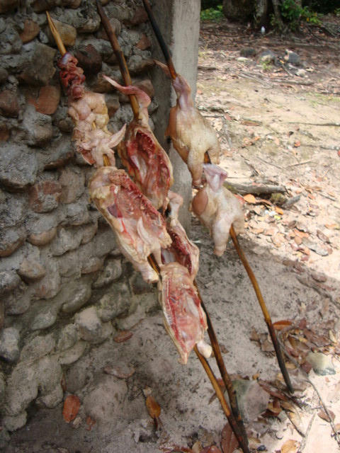 DSC00083.JPG
