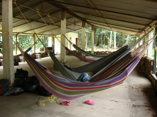 DSC00082.JPG
