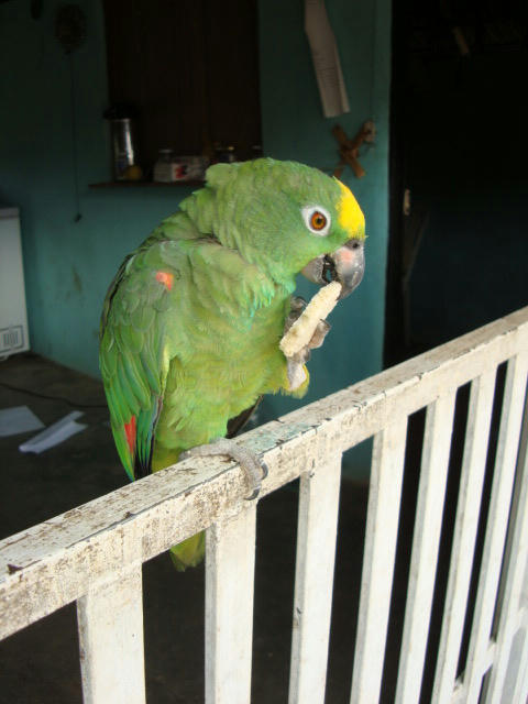 DSC00155.JPG