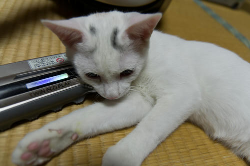 IMGP8997.jpg